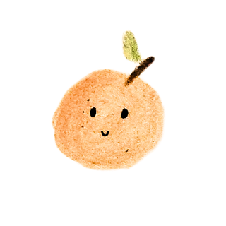 Orange Blossom Education